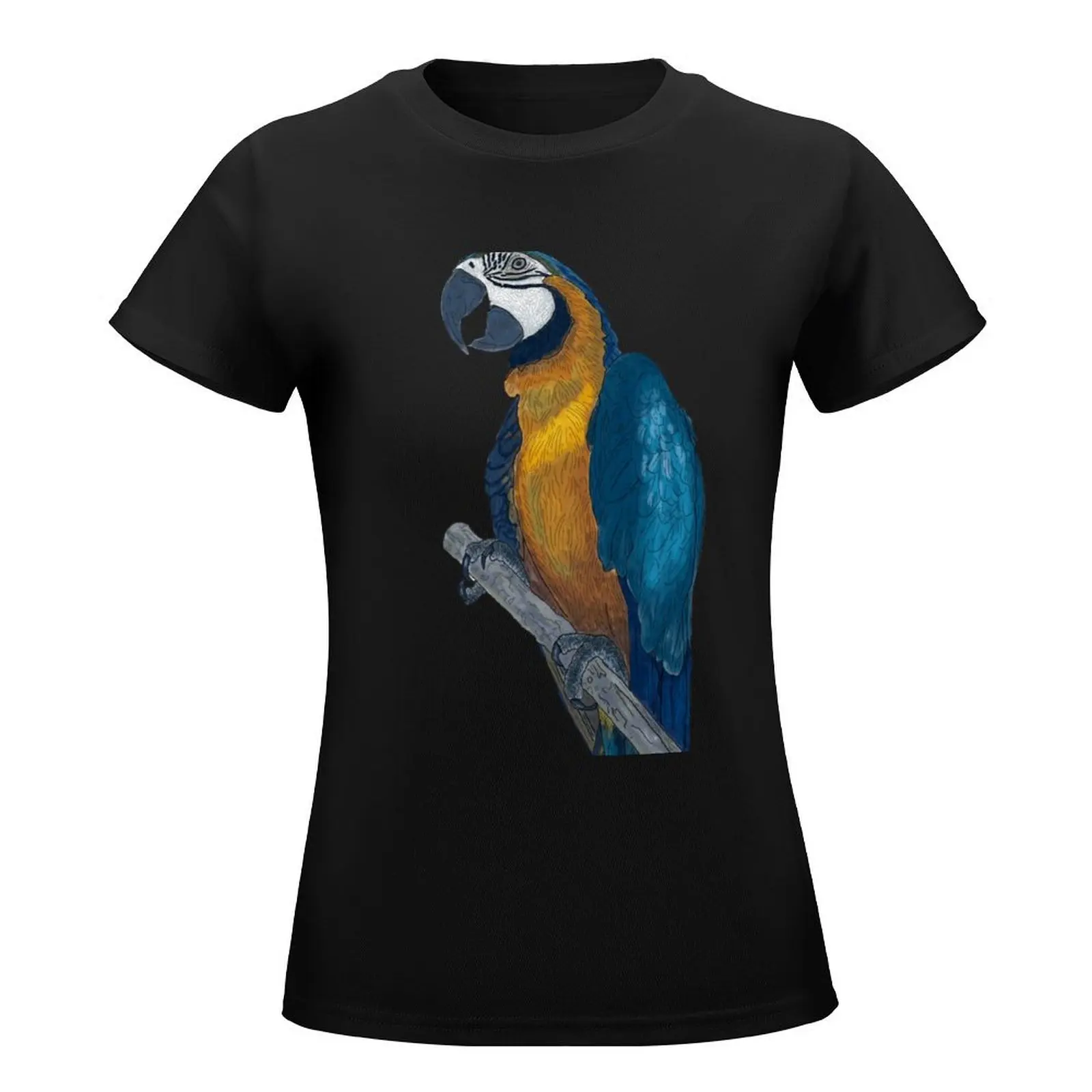 Blue + Yellow Macaw on a Twig Scientific Drawing T-Shirt shirts graphic tees tops plus size tops Female clothing Woman fashion