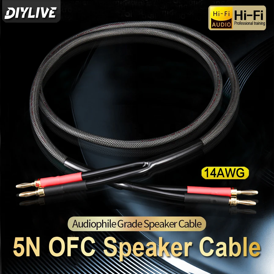 5N High Purity Copper Fever Grade HIFI Speaker Cable Main and Secondary Speakers Surround Power Amplifier Computer Audio Cable