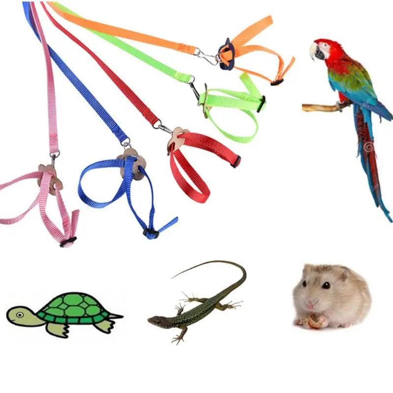 Parrot Harness Traction Rope Reptile Outdoor Safety Belt 5 Color Belt Gerbil Lizard Anti-bite Multi-color Light Traction Rope