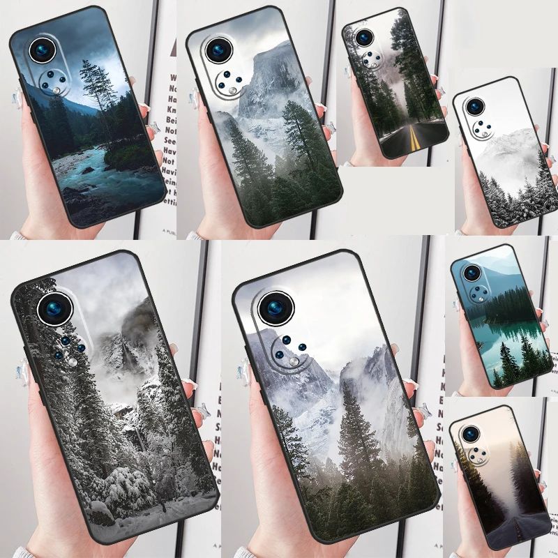 Mountain Pine Tree … - image