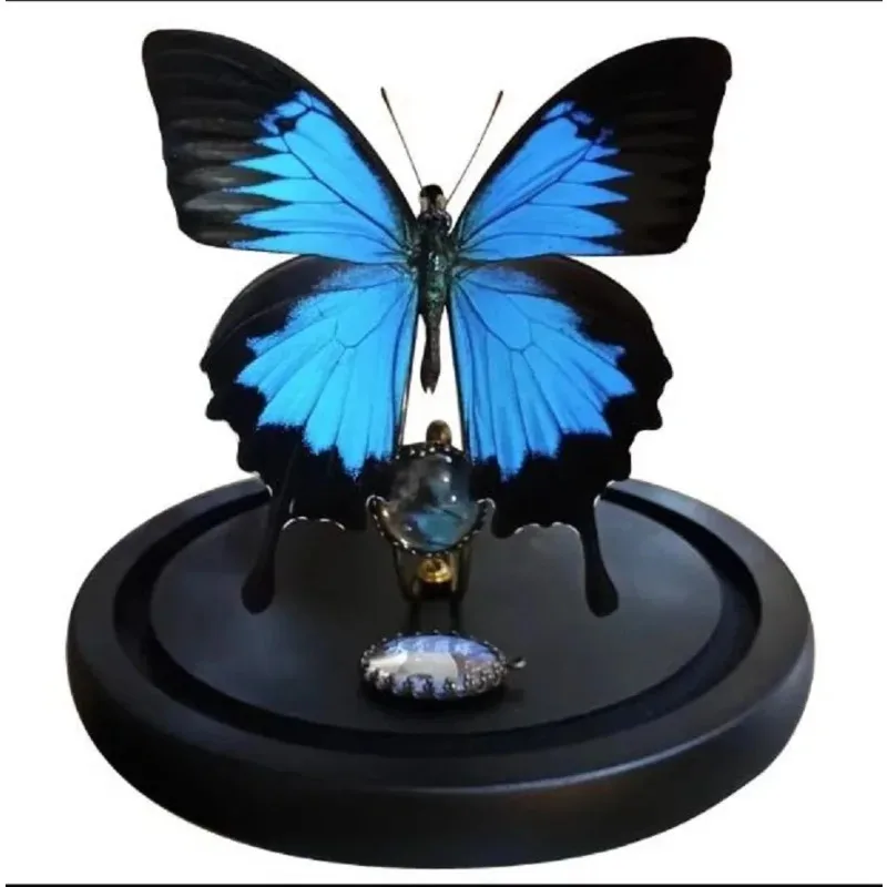 Real Butterfly Glass Cover Ornament European Style Gateway Paradise Phoenix Decoration Creative Birthday Gift
