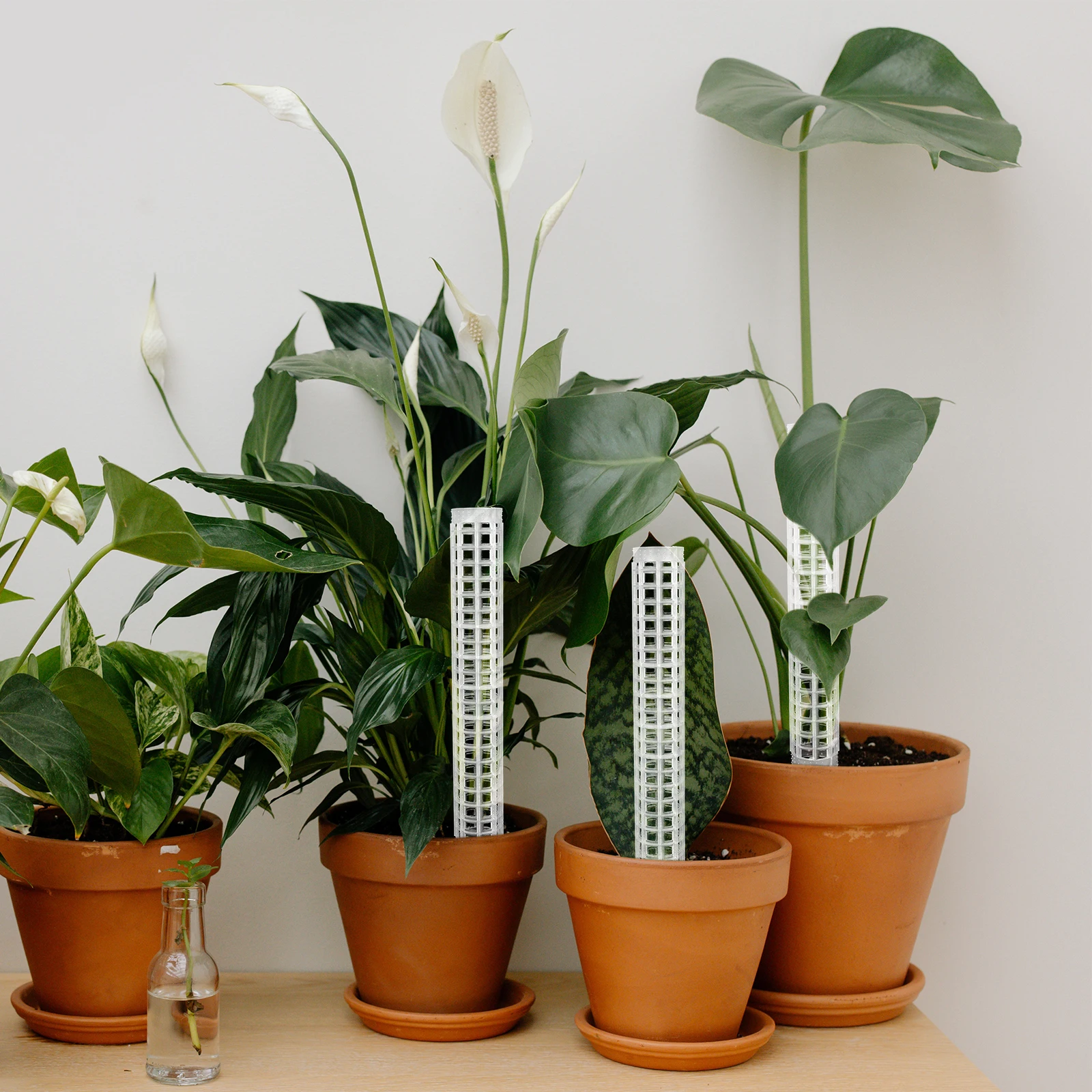 

4pcs Plant Climbing Column Durable Plastic Strong Support Gardening Tool Vine Supplies Sphagnum Pillar Plants Keeper