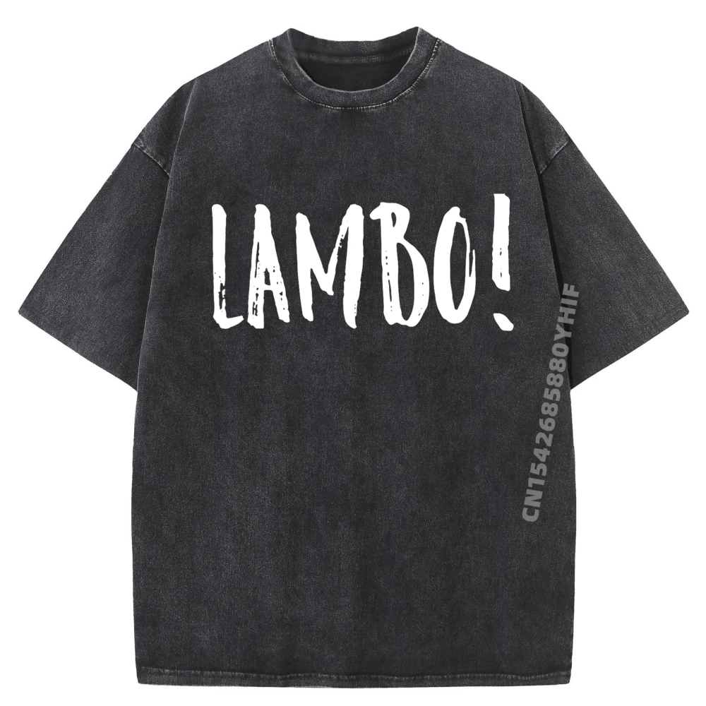 

Lambo Made Funny Rap Saying Wholesale Tshirts 100 Pcs Sale Group Letter Printed Tees Luxury Clothing Minimalist Washed Shirt