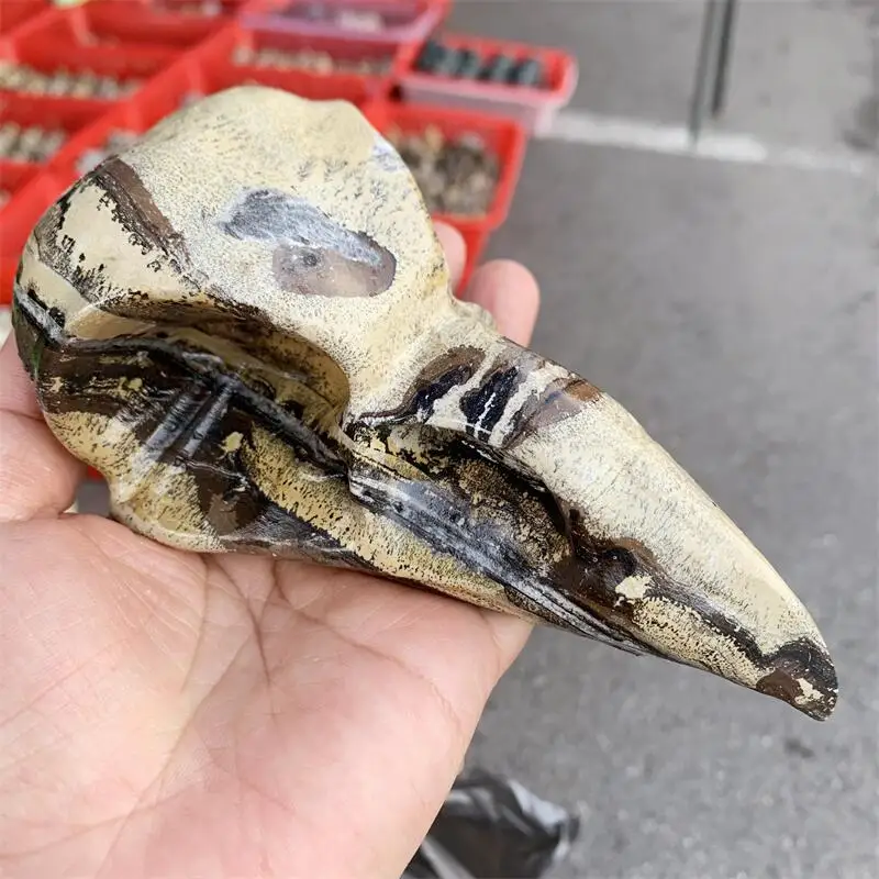 

Natural Pictured Stone Bird Skull Carving Memnon Megalith Powerful Statue For Home Room Decoration Gift 1PCS