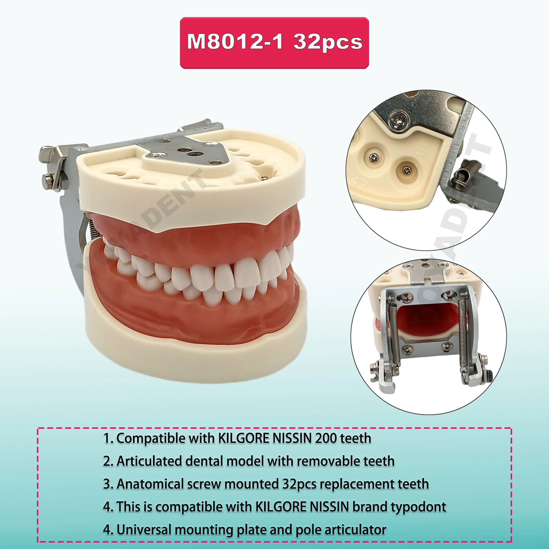 10Pcs Replacement Tooth Particles Compatible NISSIN 200 Type Teeth Model For Dental Preparation Training Teaching Resin Material