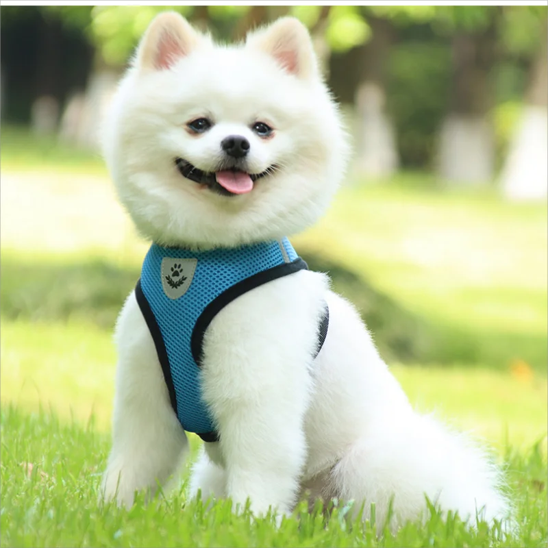 Pet Leash Undershirt Type Harness Breathable Reflective Adjustable Chest Harness Outdoor Dog Carrying Supplies