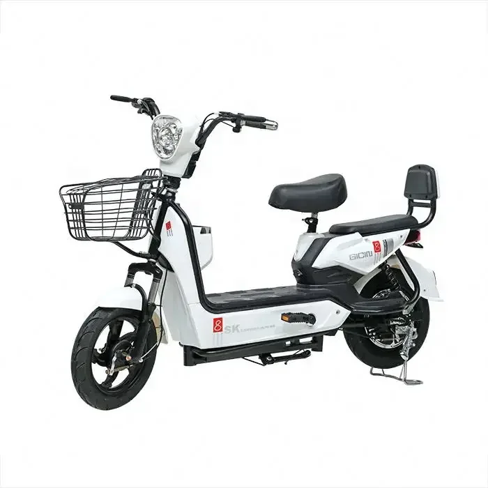 Electric bicycle with portable battery box and movable charging electric bicycle