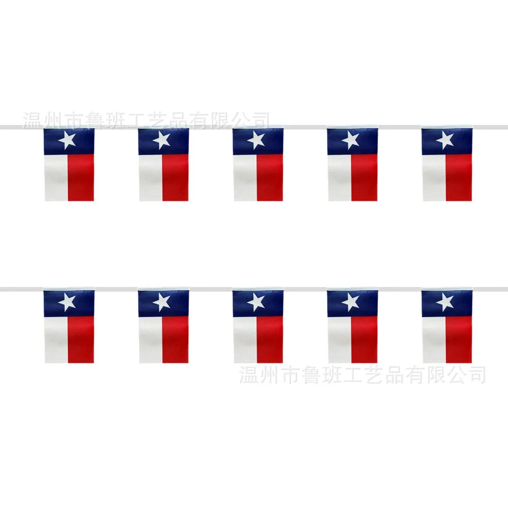 SKY FLAG Texas Bunting Flags 14x21cm 30pcs/lot USA State Flag Texas String Flags Pennant Banner for Festival Party Decoration