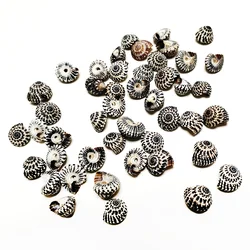 30 Pieces/Lot Heliacus Areola Shells Black Mini Tower Seashell Spiral Shape for Home Decorations, Party Wedding, DIY Crafts