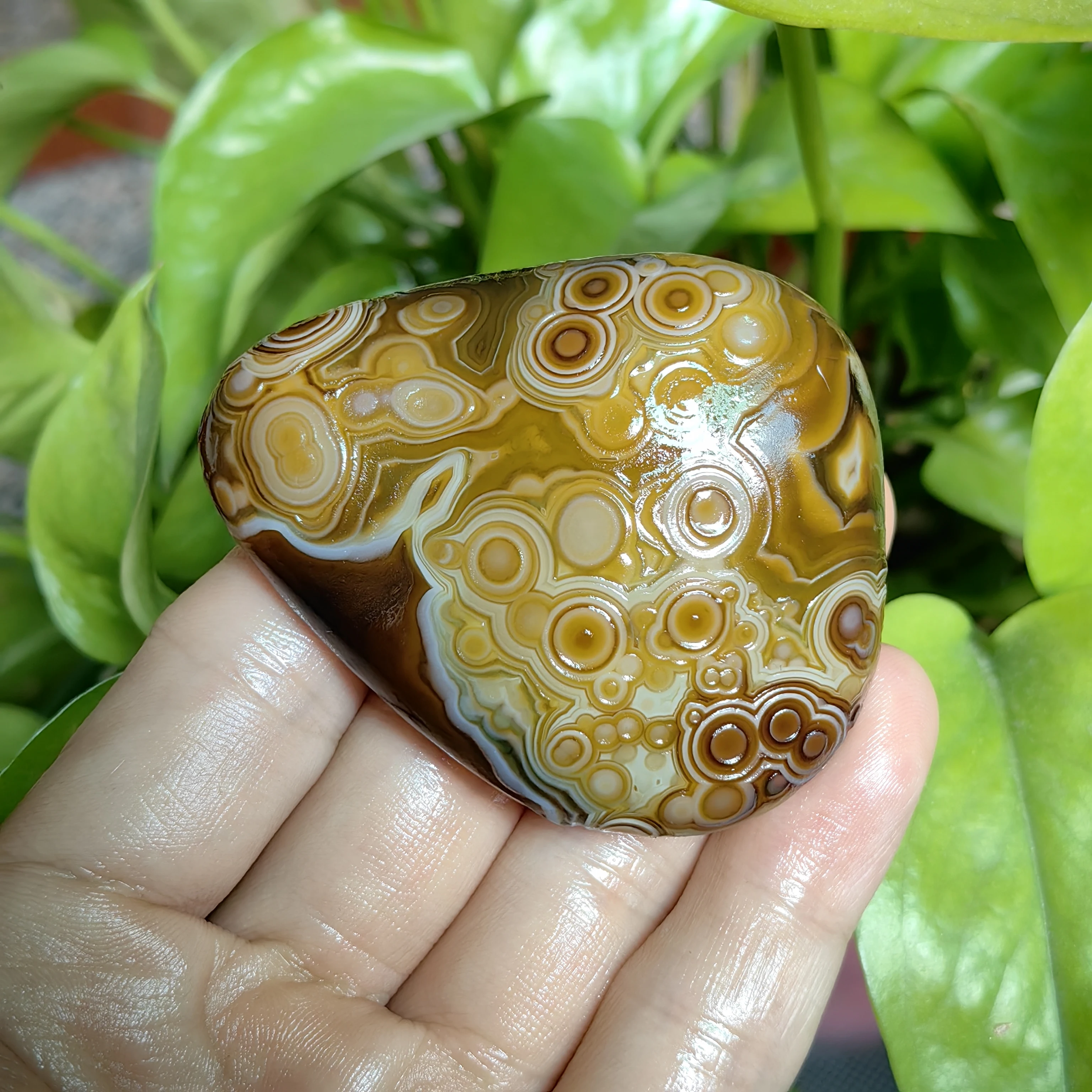 Natural Gobi Agate with Eye Texture Pattern  , Palm Stone Mineral Specimen, Unpolished Raw Rock for Collection & Desk Decor - view 6