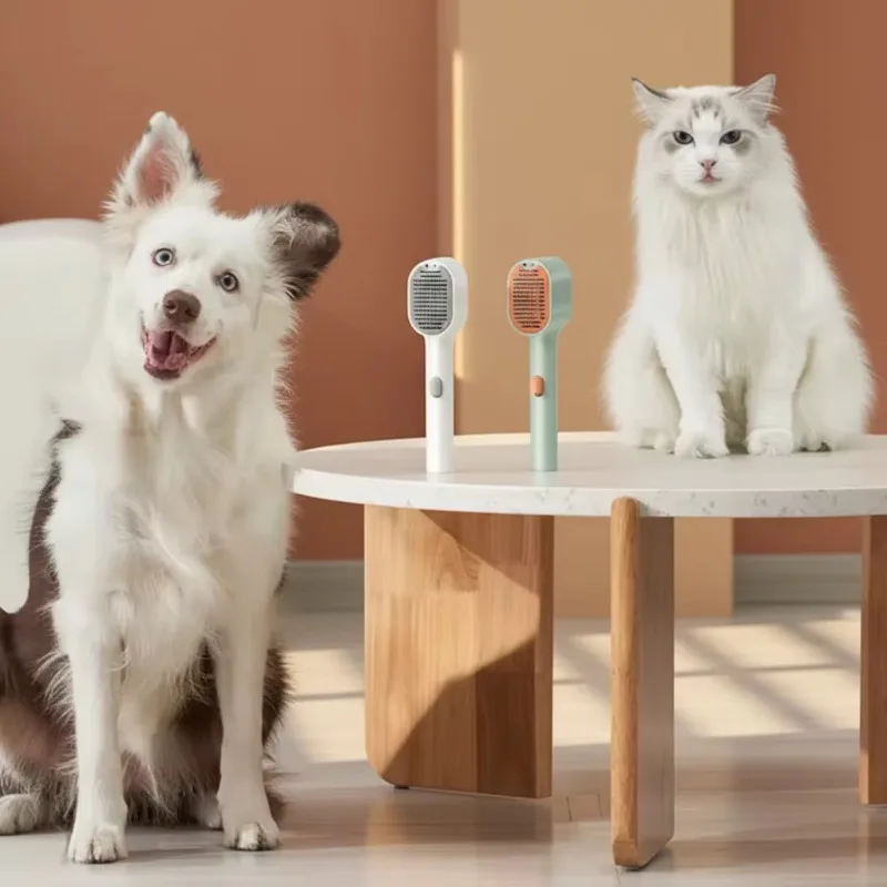 

2026 New Eco-Friendly Smart Rechargeable Automatic Portable ABS Pet Massage Comb for Dog/Cat/Rabbit