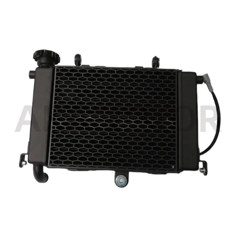 

Water Tank Radiator for Loncin Voge 300ac Lx300-6c/6u