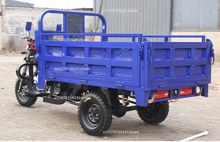 Hot Sale 3-Wheel Gasoline Cargo Tricycle 1000W Motorized China Manufacture with  48V Motorcycle Type