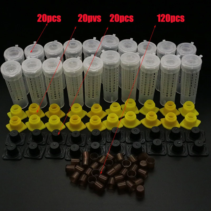 90/180Pcs Plastic Queen Rearing Kit Brown Queen Cell Protector Breeding Cups Queen Cage No Larva Transfer Beekeeping Supplies