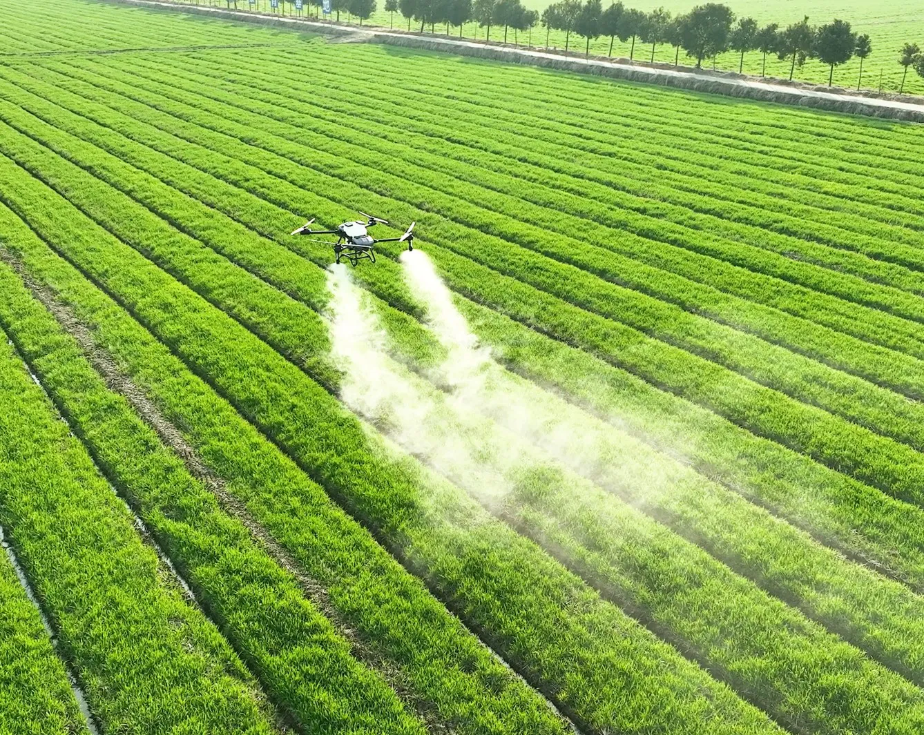 Antidrip Agriculture Drone Sprayer Nozzle CN500 Sprinkler Centrifugal Spray Nozzle with High-efficiency High-volume Spraying view 6