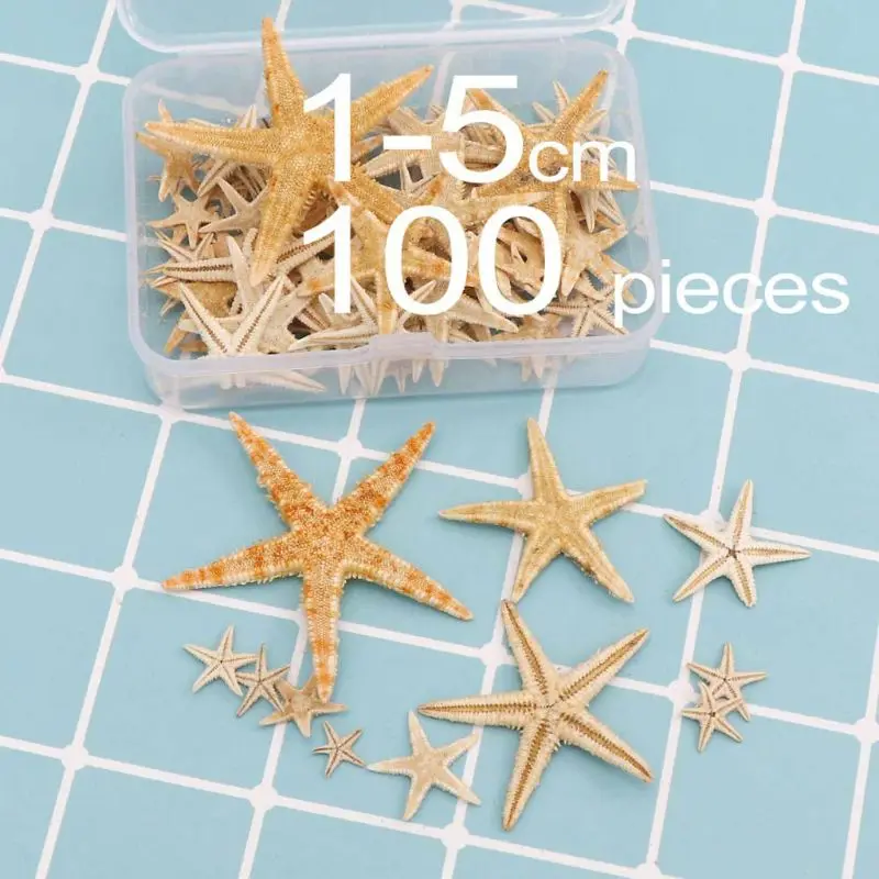 1 Box Natural Starfish Seashell Beach Craft Natural Sea Stars DIY Beach Wedding Decoration Epoxy Resin Art Crafts1-5cm