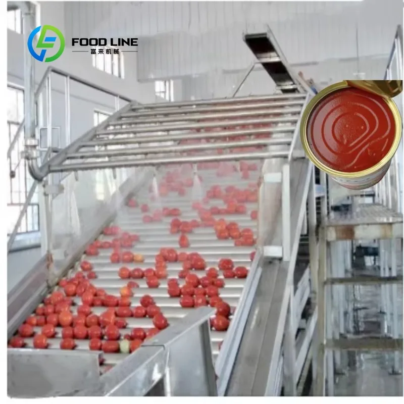 Small 500kg/h chili sauce production line ketchup processor