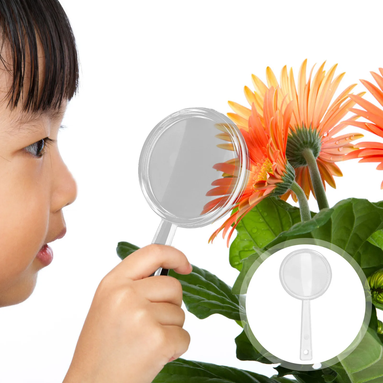 20 pezzi lente d'ingrandimento per bambini esplora lente d'ingrandimento portatile portatile strumento di lettura per l'osservazione biologica scienza dei bambini esplora la fornitura