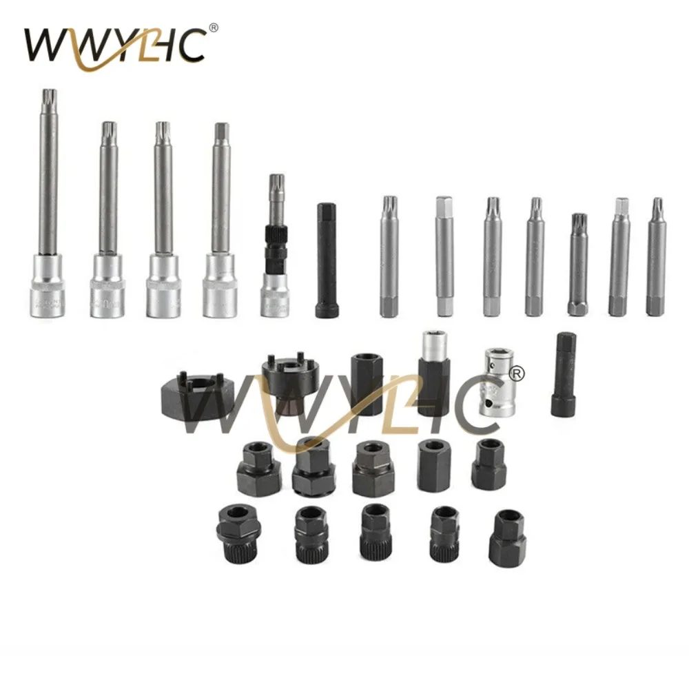 30pcs-alternator-freewheel-pulley-remover-set-disassembly-socket-bit-hand-tool