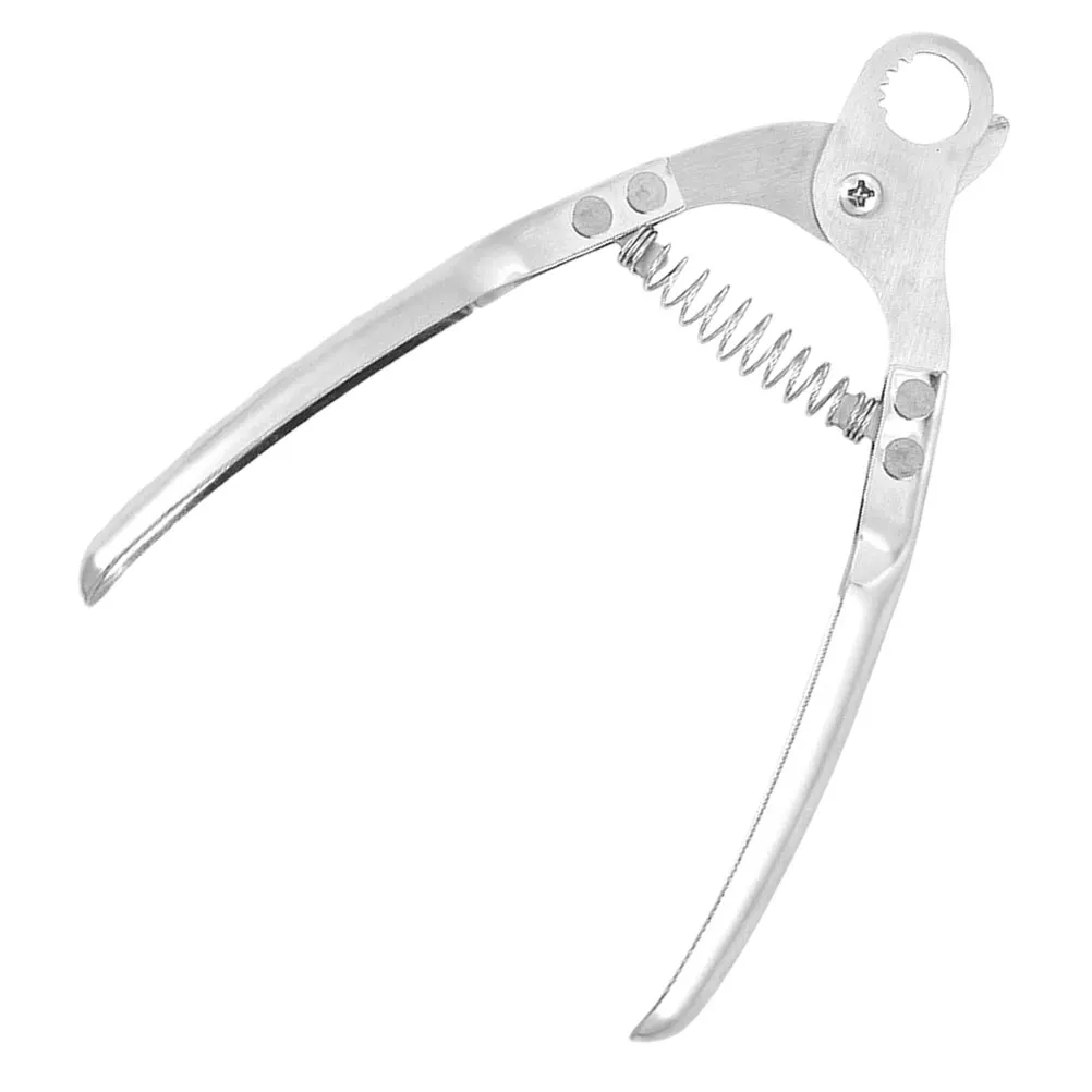 

Stainless Steel Snail Shears Kitchen Tool Escargot Handling Scissors Practical Snail Preparation Device