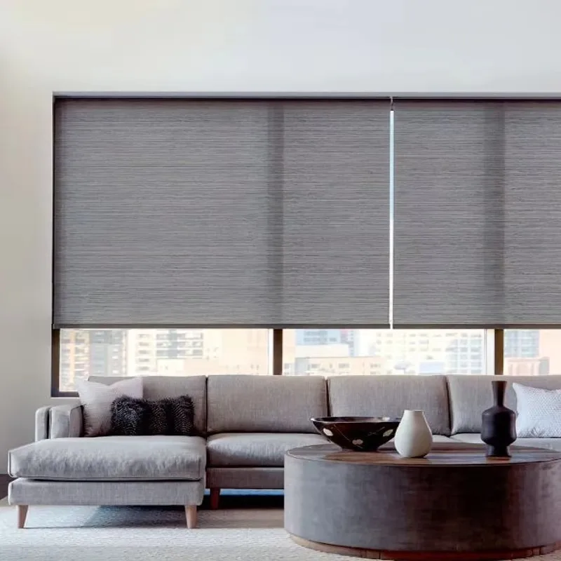 Outdoor Residential French Window Pinhole Technique Horizontal Fabric Pattern Plastic Electric Motor Roller Blinds Shades