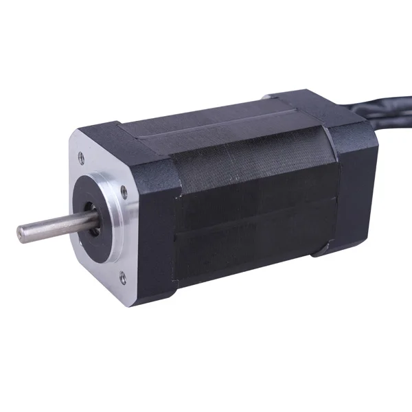 57mm 12v 24v 36v 48v 50w 150w 180w 200w 250w BLDC borstelloze gelijkstroommotor lineaire servomotor