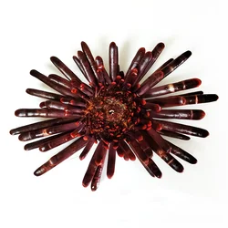 Natural Slate Pencil Urchin Sunflower Shape Seashell Echinus Large Seashells for Crafting DIY Craft Home Decor Beach Theme Party