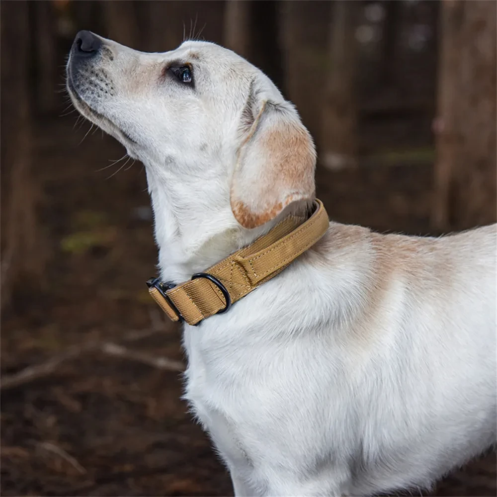 Guinzaglio tattico durevole per collare per cani militare resistente per collari per cani di taglia media pastore tedesco accessori per