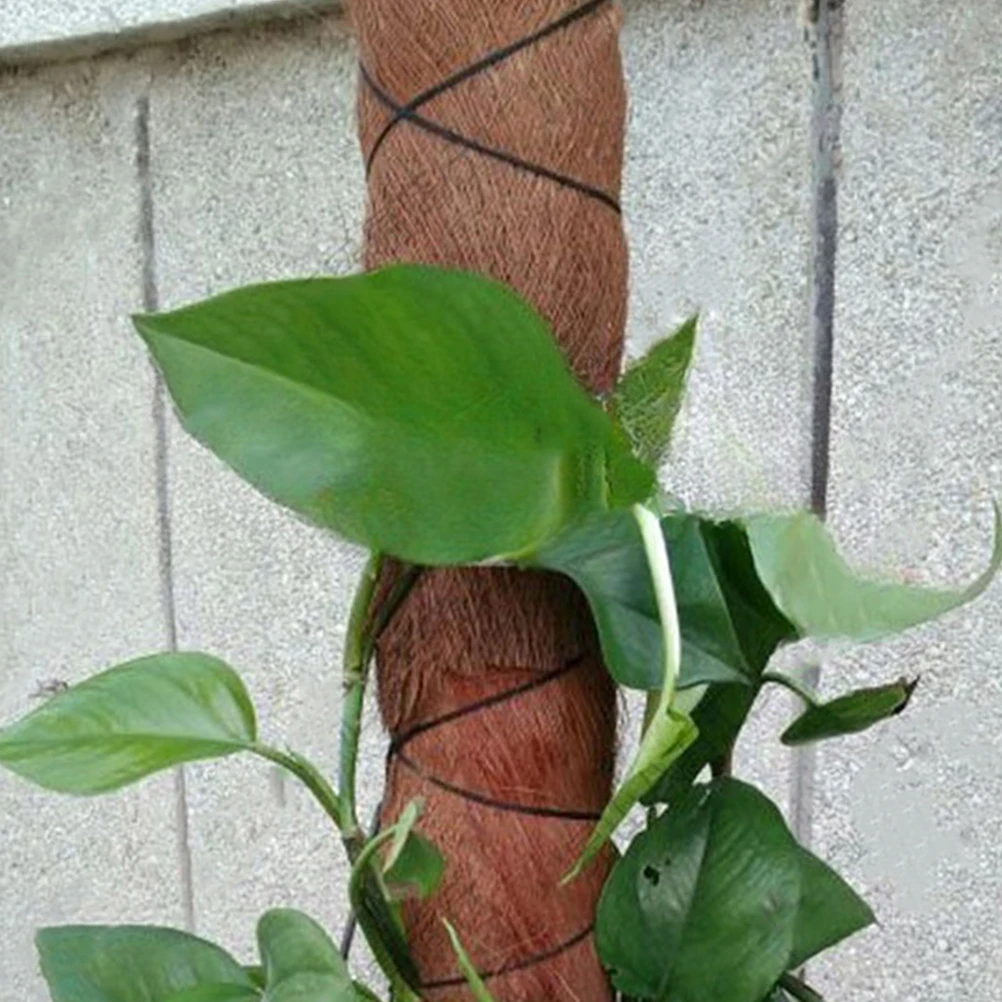 

Palm Tree Bark Decorative Garden Background For Landscaping Diy Tank Background Garden Decor Bark Plant Basking Platform