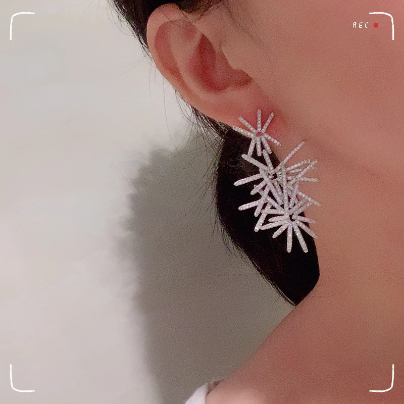 

Firework Earrings Female Super Flash Personality Exaggerated Snowflake Earrings Irregular Creative S925 Silver Needle Earrings