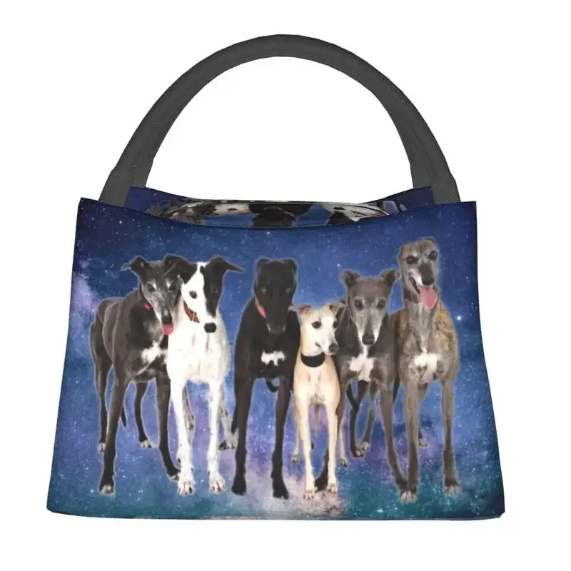 A Pack Of Greyhounds Thermal Insulated Lunch Bag Women Whippet Sighthound Dog Lunch Tote for Work Travel Meal Food Box