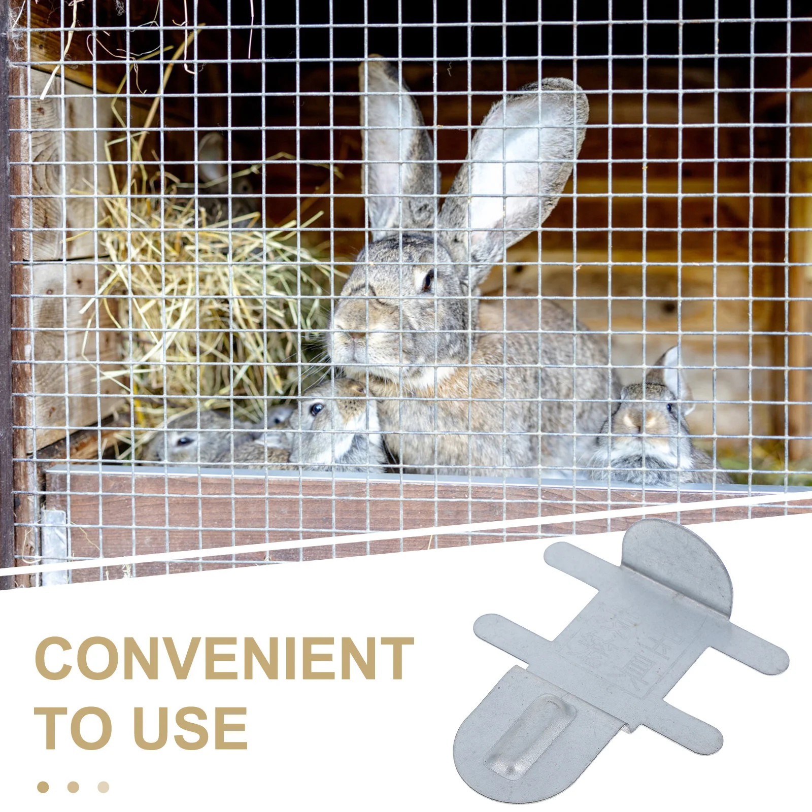 

10 Pcs Cage Food Box Fixing Sheet Clips Locking Silver Stainless Steel for Reptiles