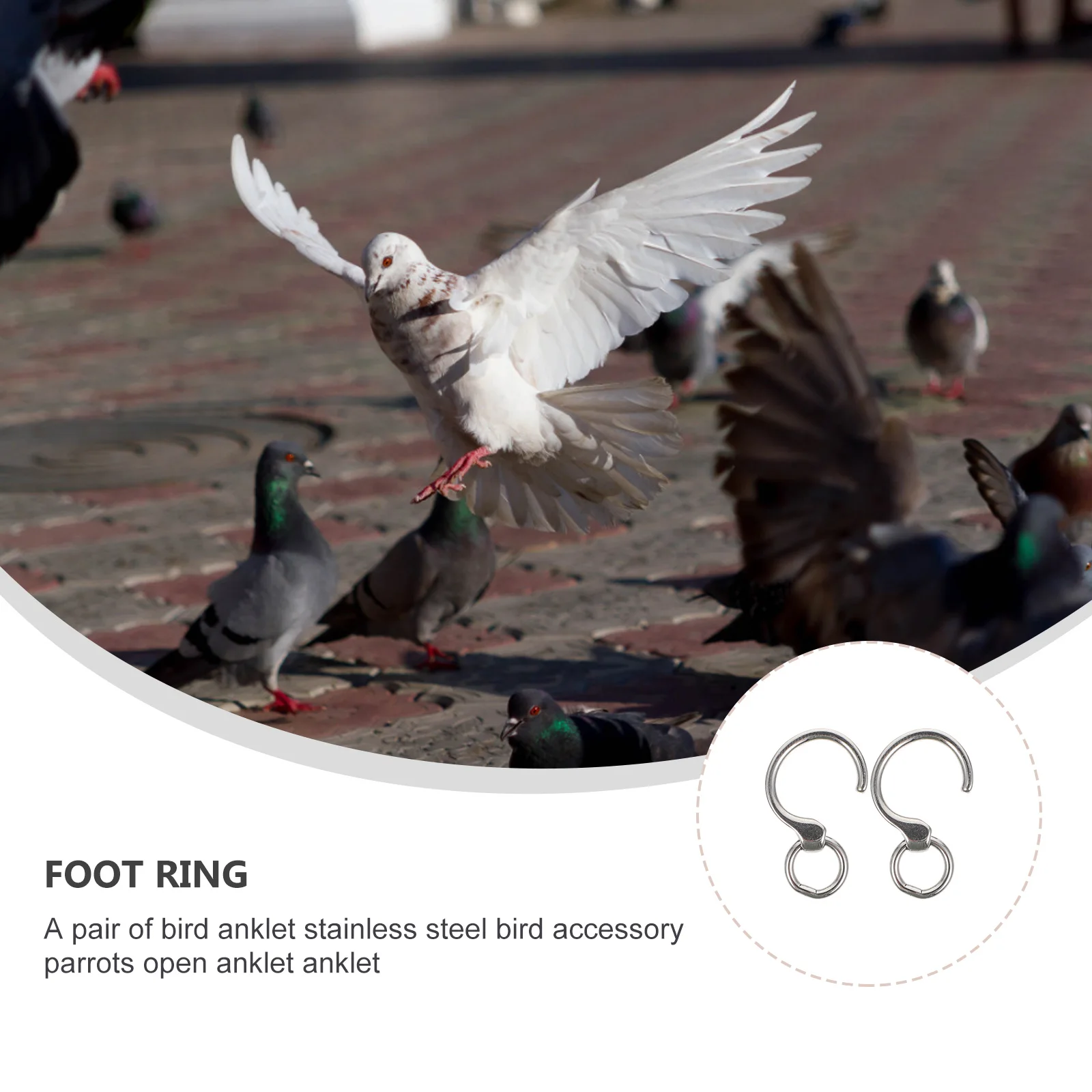 

1 Pair Stainless Steel Rings Rustproof Durable Pet Parrot Foot Anklets Metal Leg Rings Bird Training Accessories