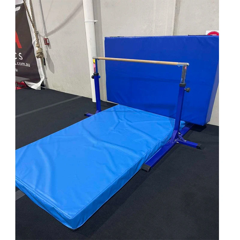 

Customized Color High Quality Standard Single bar Gymnastics Ring Gymnastic Equipment With Landing Mats for Kids Training