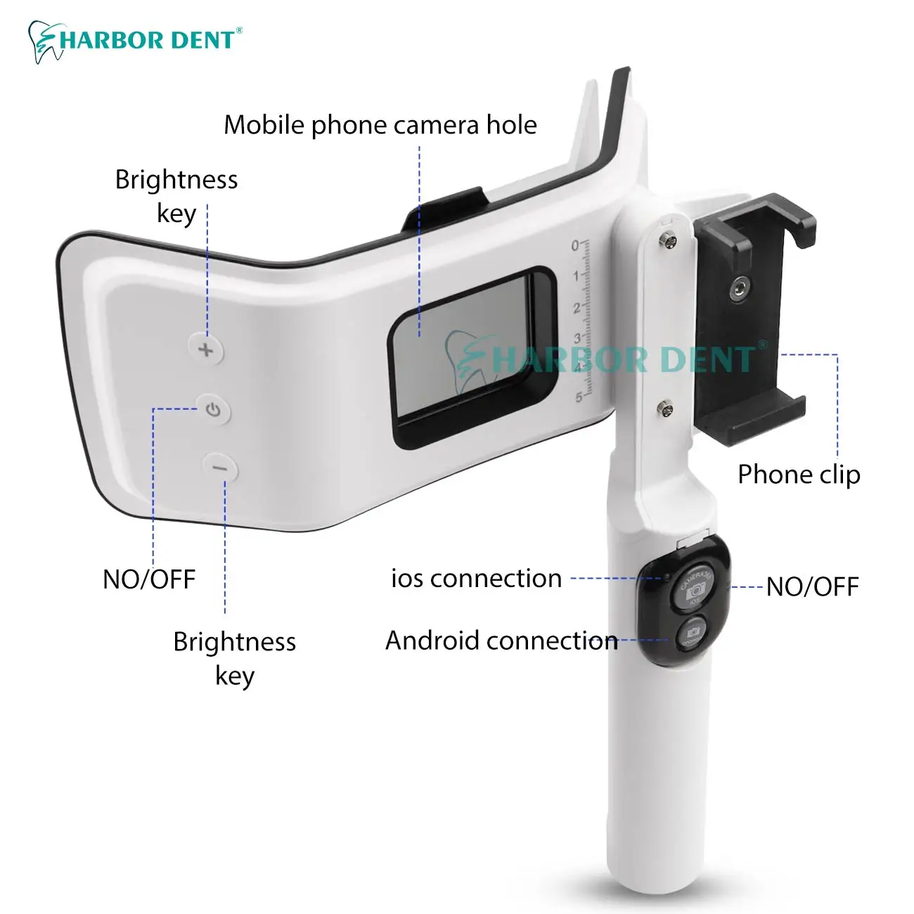 Good Price Dental Photography - Good Lighting In Photography 评论和价格