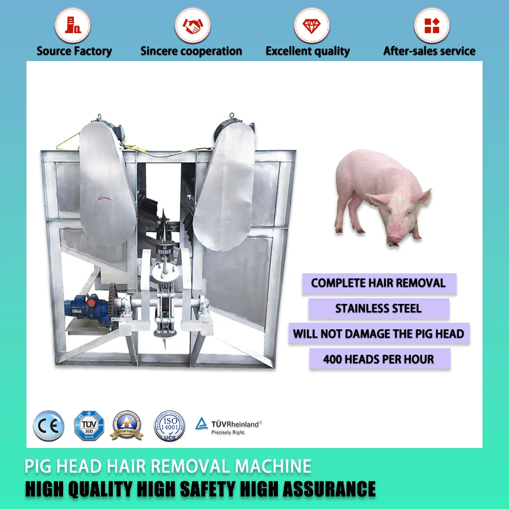 Slaughterhouse Meat Processing Stainless Steel Anti-Corrosion Acid-Resistant Fully Automatic Pig Head Hair Removal Machine