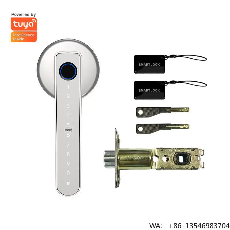 Fingerprint Door Lock Handle Bedroom Biometric Identification Without Key Security Electronic Smartdoor Lock with Key