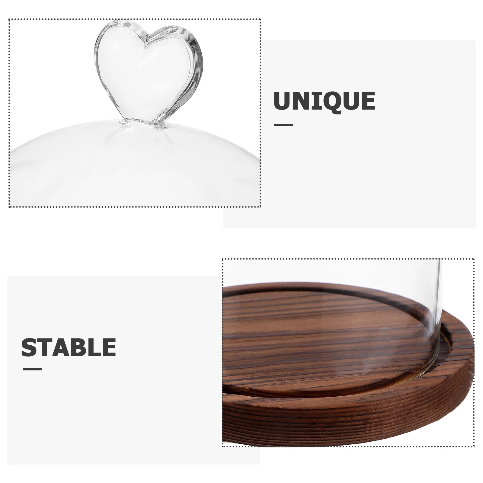 قبة زجاجية مزخرفة، قبة شفافة ممتازة لمقتنيات DIY، زهور أبدية، قطع مركزية لعيد الميلاد، عرض المكتب المنزلي #3