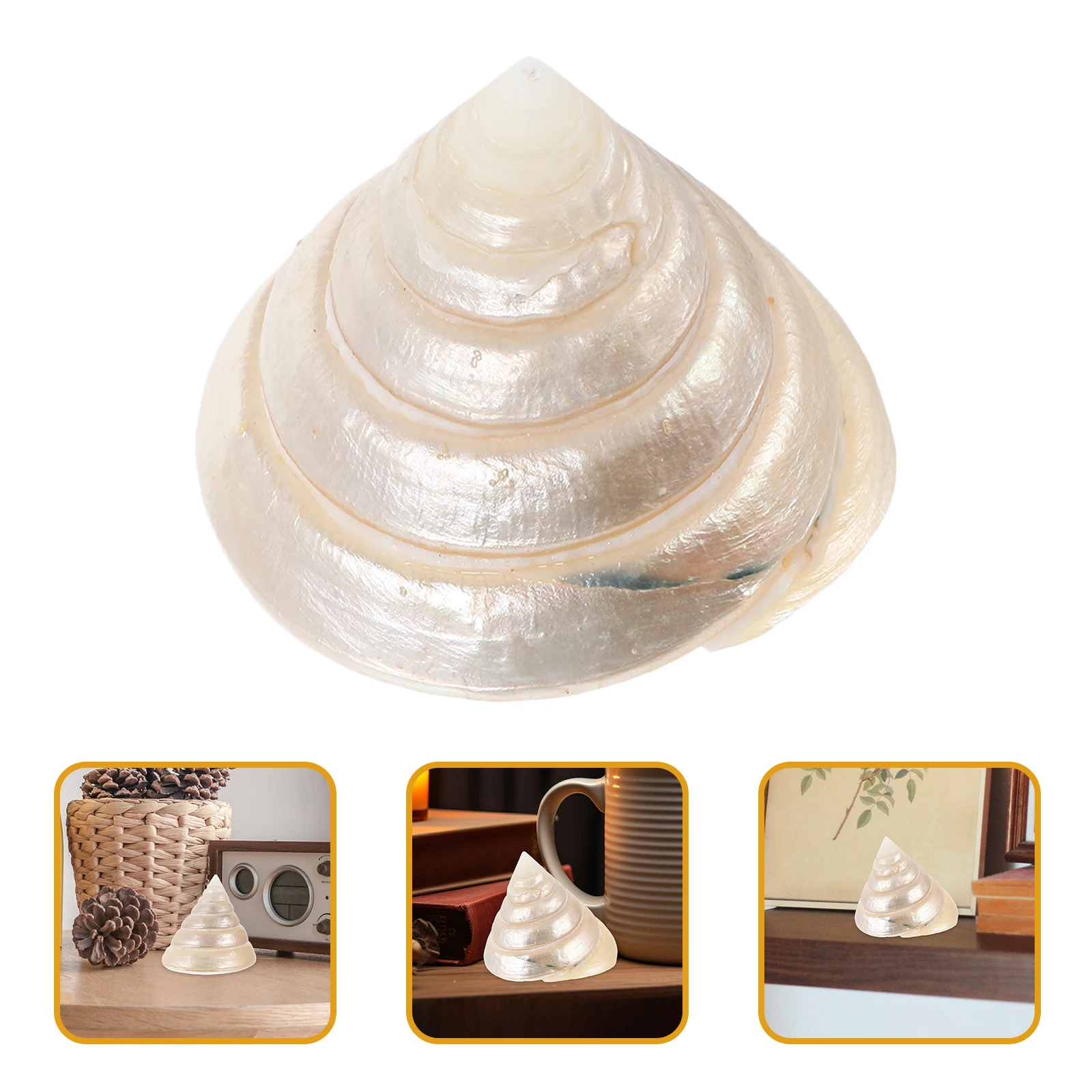 

Decor Night Light Decoration Desktop Adorn Delicate Office Conch Aquarium Decorative Indoor Shell Embellishment Diy