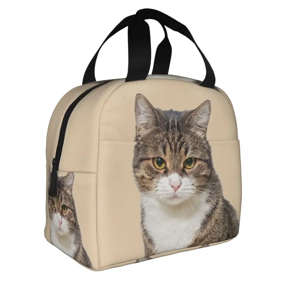 Funny Cat Insulated Lunch Bag for Women Men Portable Warm Cooler Thermal Lunch Box Office Work School Picnic Food Tote Bags