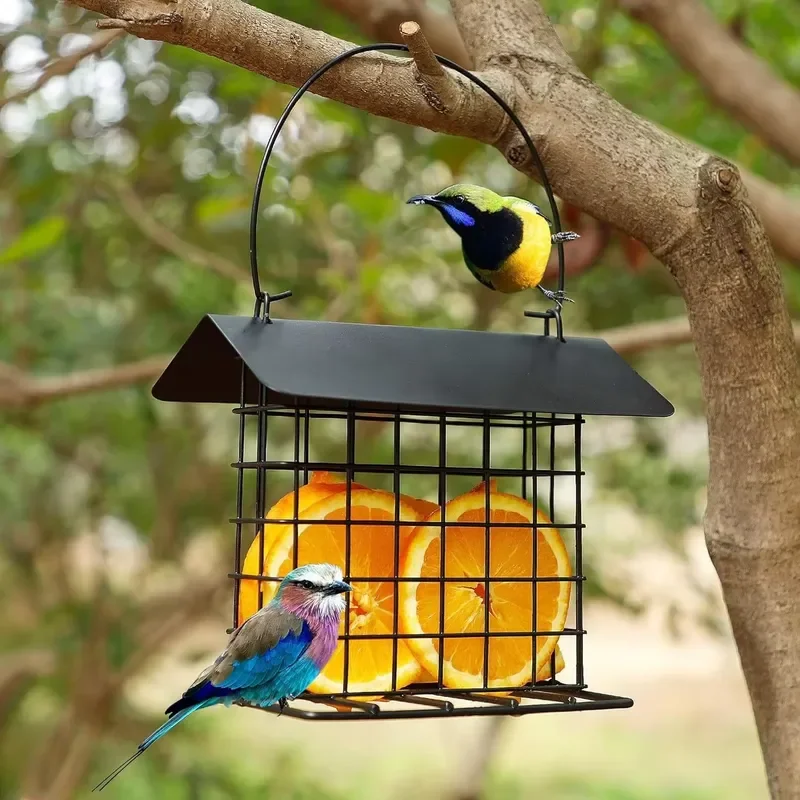 mangeoire-a-oiseaux-en-metal-suspendue-au-toit-du-jardin-mangeoire-carree-couverte