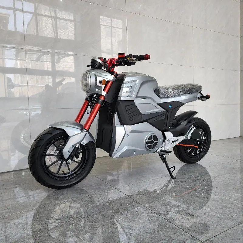 Custom Electric Motorcycle 2000W-5000W - close-up view