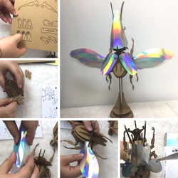 DIY 3D Cardboard Atlas Hercules Stag Puzzle for Wall Decoration Assemble Insect Beetle Paper Model Toy Beetle Educational