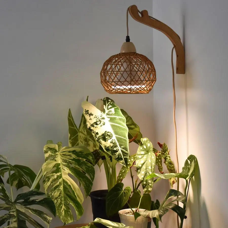 

Hanging Grow Lights for Indoor Plants, 18W Full Spectrum, Boho Rattan Lantern Shade, 3800K WallMounted Decorative Plant Light wi