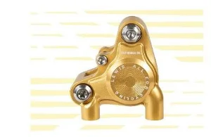Variant: Gold