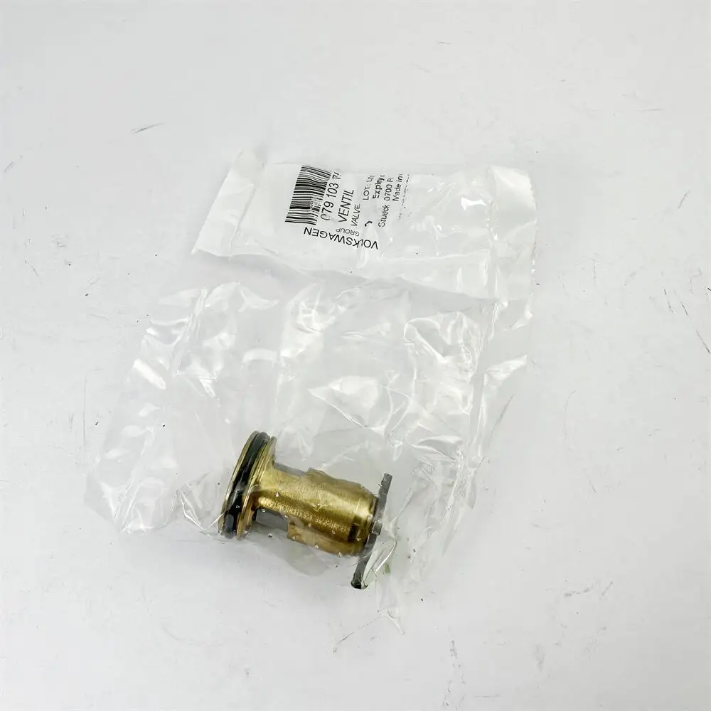 

079103175C Check Valve for A4 A6 A7 A8 Q7 Original