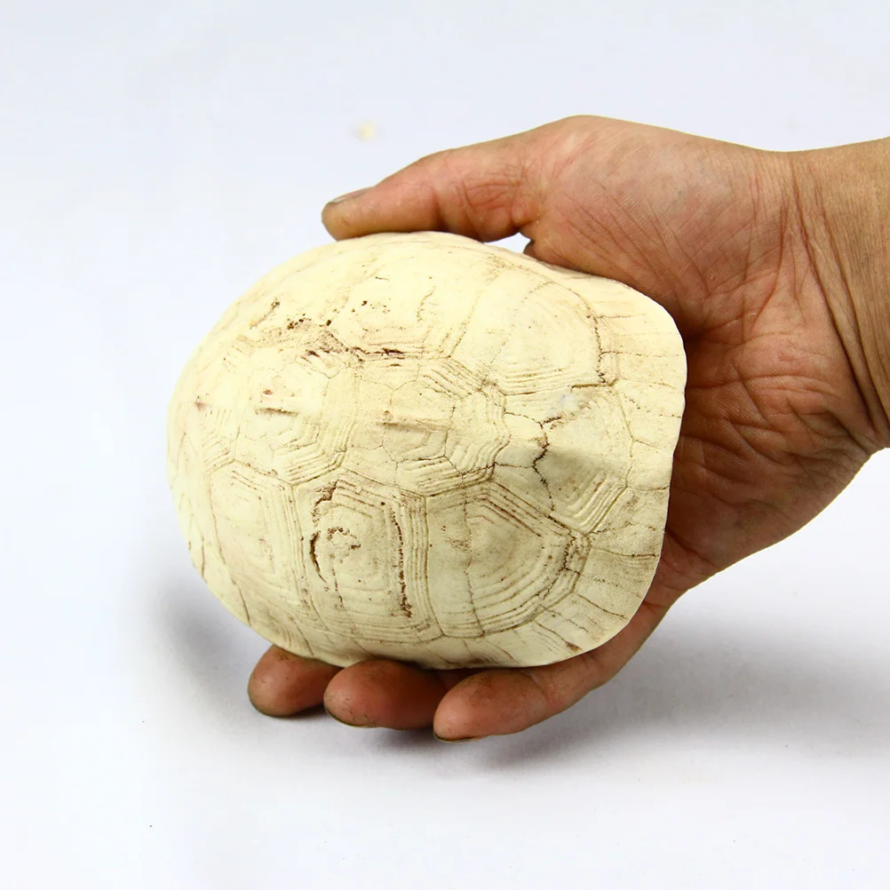 

1Pcs Resin Turtle Shell Reptile Cave Home Natural Simulation Reptile Hide Rest Cave Ornament for Pet Habitat Turtle Shell Resin