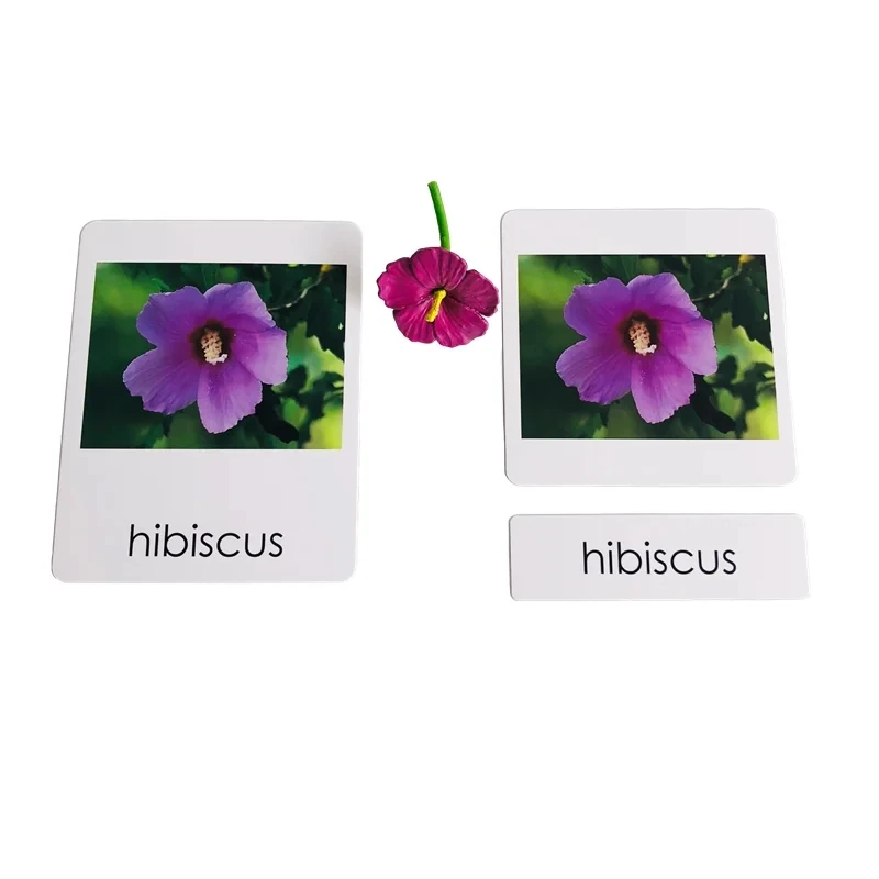 Cognition Cards of Flowers Montessori Language Materials Matching Game for Children Kids Early Learning Resources Education Toys - view 4