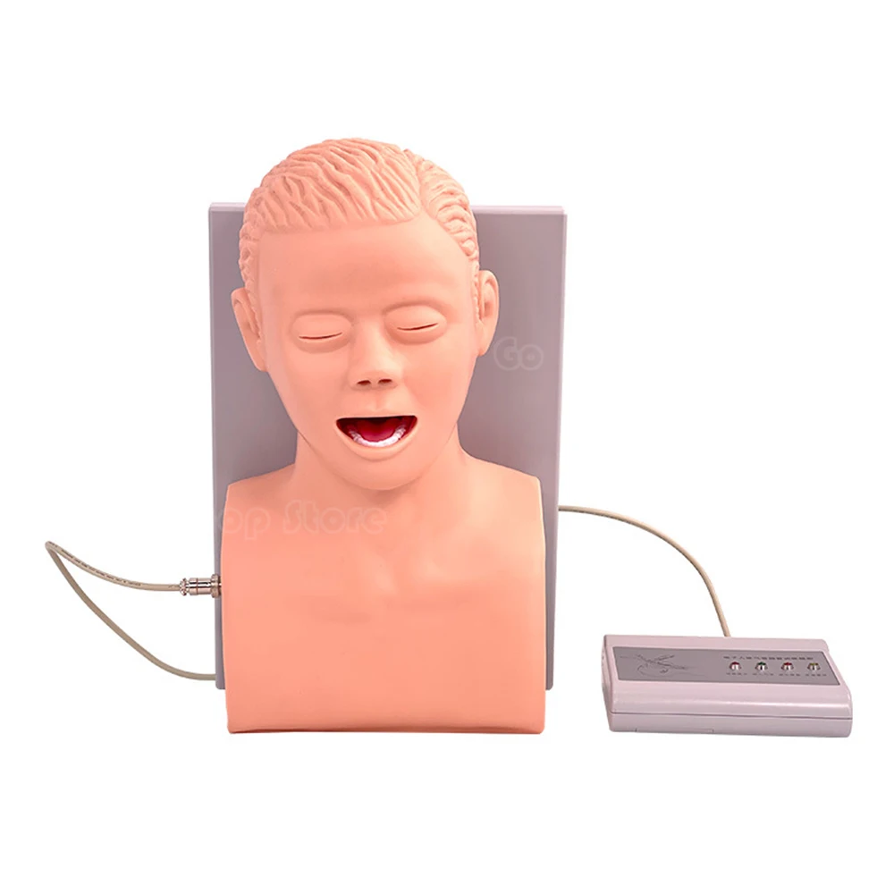 Intubation Manikin Study Teaching Model Airway Management Trainer PVC with Teeth