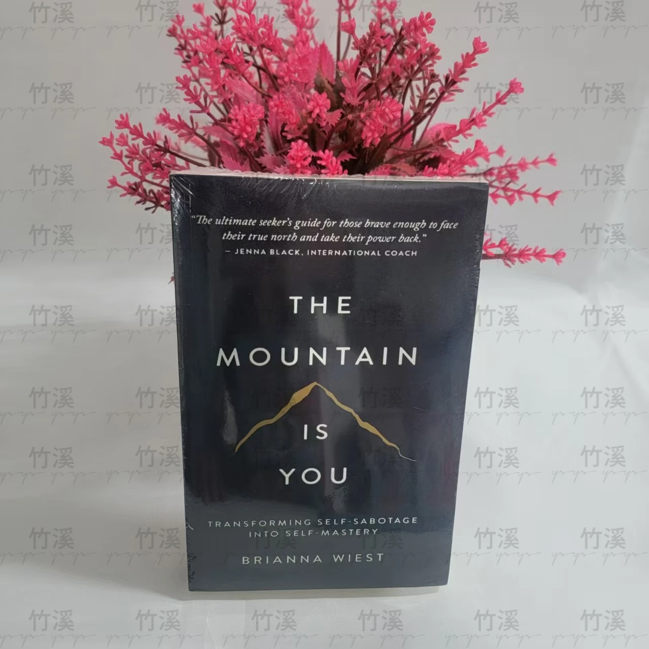 

The Mountain Is You: Transforming Self-Sabotage Into Self-mastery English Books Birthday Gifts